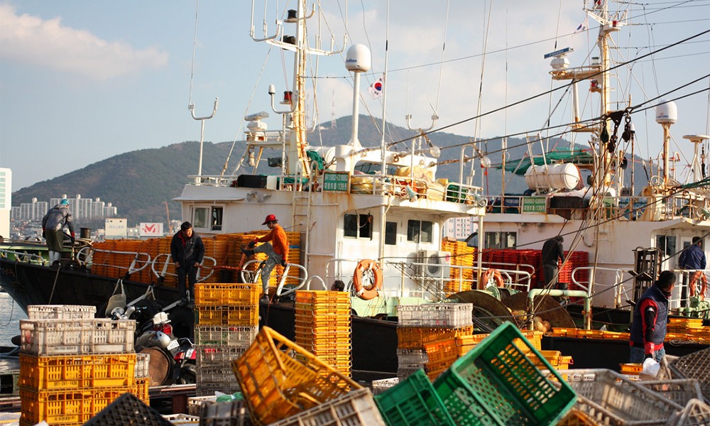 Busan 04